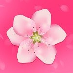樱花直播app在线下载