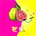 浪浪视频最新版