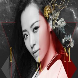 黄油纸巾盒大全：巧妙设计与实用选择的完美结合